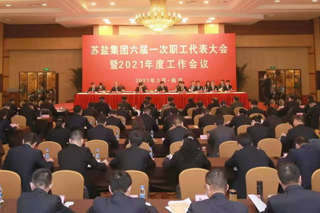蘇鹽集團(tuán)隆重召開六屆一次職工代表大會 蘇鹽集團(tuán)隆重召開六屆一次職工代表大會