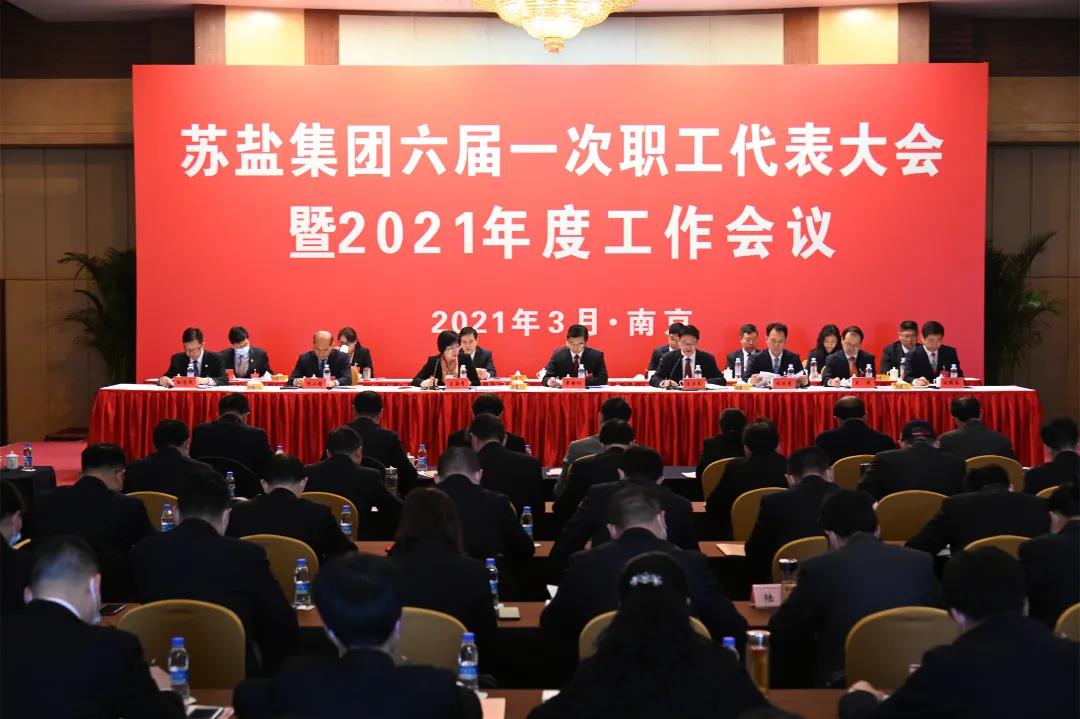 開局,2021蘇鹽交出高質量倍增發(fā)展優(yōu)異答卷 開局,2021蘇鹽交出高質量倍增發(fā)展優(yōu)異答卷